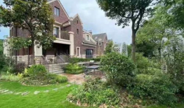 上海金融圈最新吃瓜爆料,揭秘神秘事件背后的真相